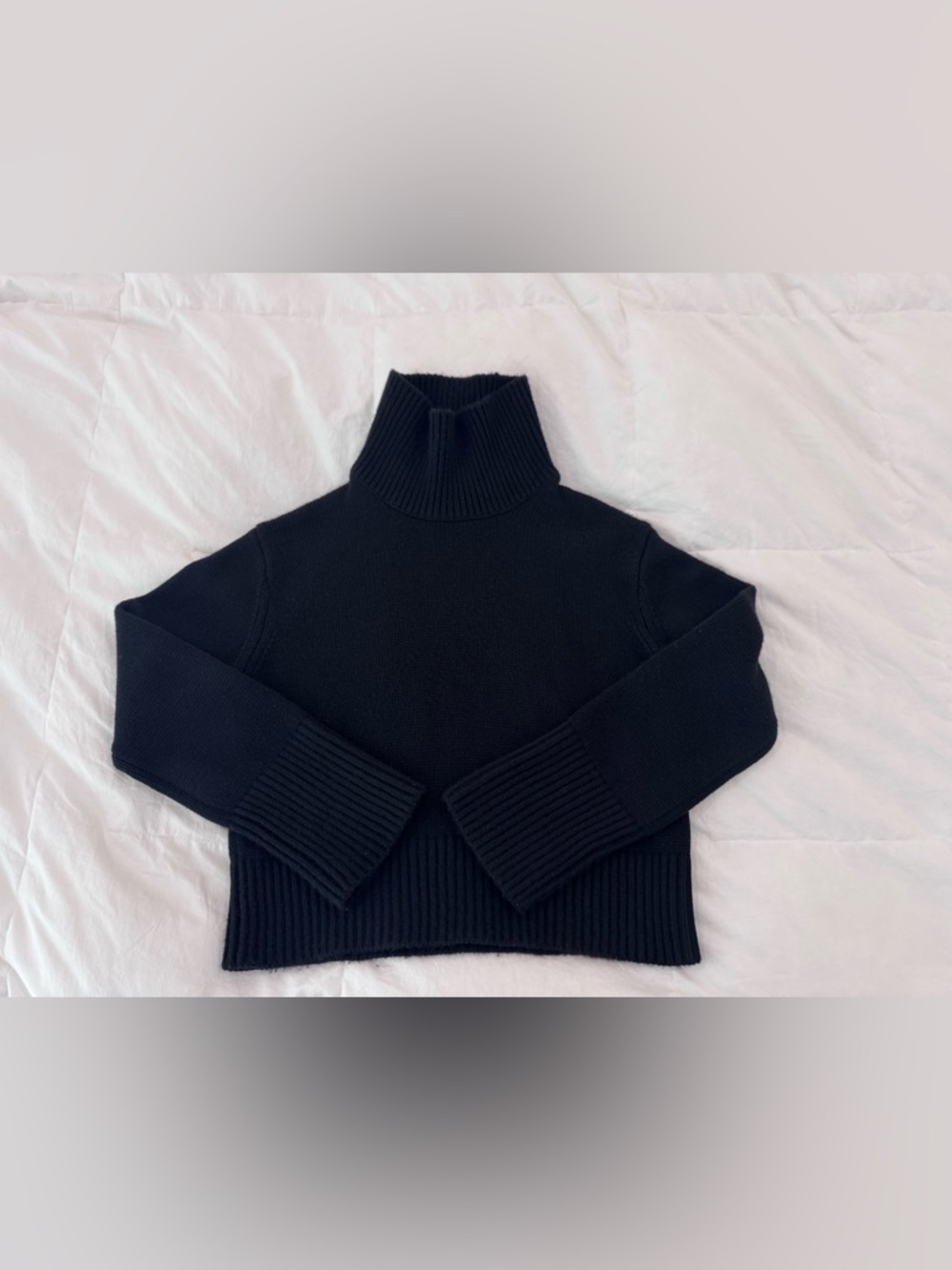 Lisa Yang Cashmere Turtleneck Sweater size 0